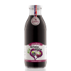 100 stava aronia visna zamio