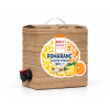 zazvor pomaranc citron 3L