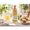 ginger med citron 500ml v2