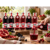 detox fit mix 1500 v5