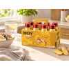 moy shot ginger 8 v5