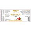 Moy 2024 g1 rozb Brusnica def 1