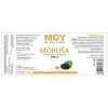 Moy 2024 g1 rozb Morusa 1
