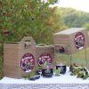 aronia zamio 5l plantaz