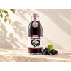 aronia morusa 500 v2