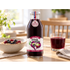 aronia visna 500 v4