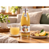 zazvor jablko citron v4