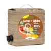 100 stava zazvor jablko citron 3L ZAMIO