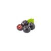 aronia od zamio 800x400 1