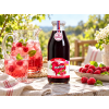 sirup malina 500 v3