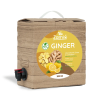 Ginger ZAZVOR 3l ZAMIO