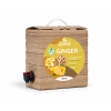 zazvor med citron 3L