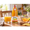 zazvor pomaranc citron 500 v4