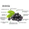Aronia Info grafika ZAMIO