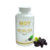 MOY morusa kapsule