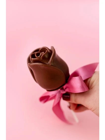 web zamlsej kytka 1 (1)