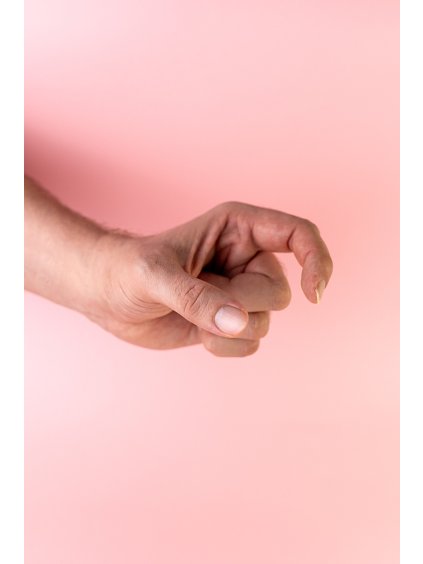 janapolova zaml unor 25