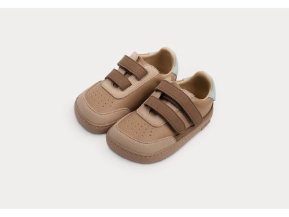 brown2
