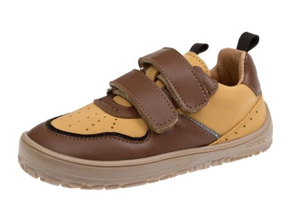 BFN 1790 W NL GR Camel