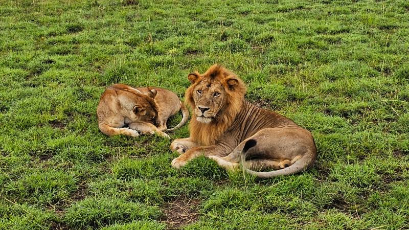 uganda-lev-safari-queen-elizabeth-national-park