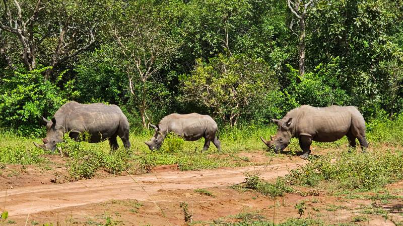 zewa-park-national-uganda-zapakuj