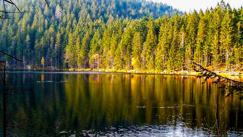 sumava-cerne-a-certovo-jezero-zelezna-ruda