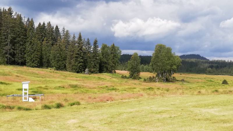 sumava-jezerni-slat-kvilda