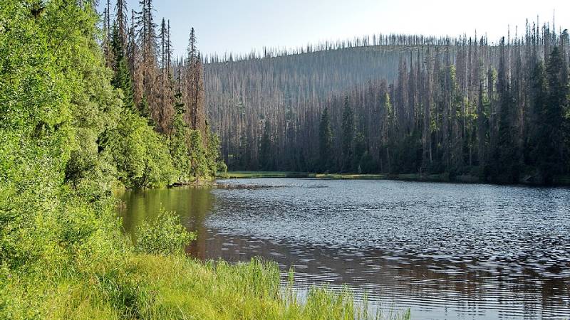 sumava-jezero-laka-z-hurky