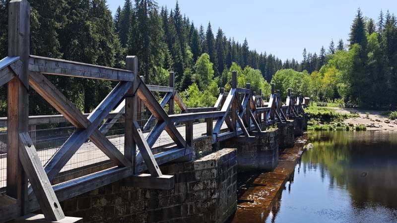 sumava-naucna-stezka-rechle-modrava-hradlovy-most