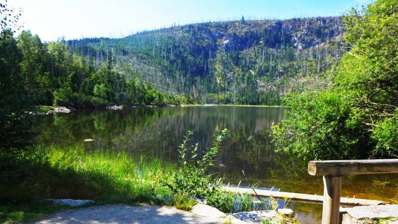 sumava-plesne-jezero