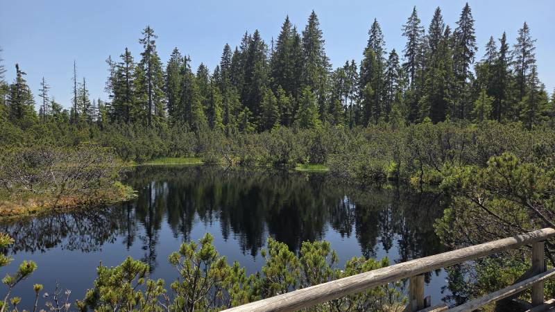 sumava-trijezerni-slat-modrava