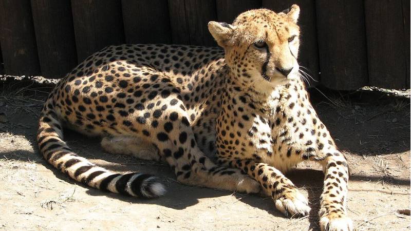 zoo-olomouc-20-originalnich-tipu-na-vylet-olomouc-a-okoli