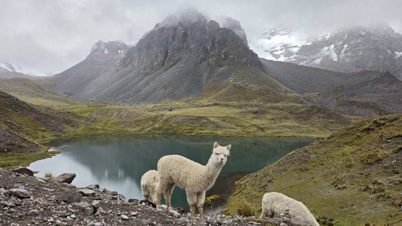 13-peru-bezpecnost