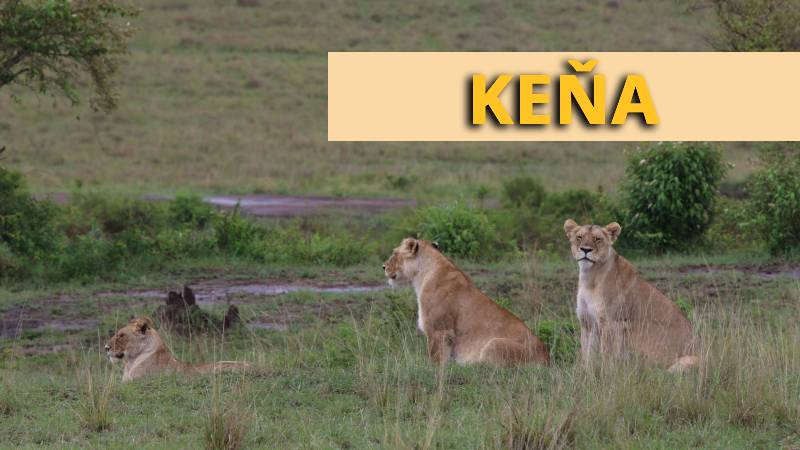 Keňa: čo navštíviť a vidieť – safari, pláže aj národné parky