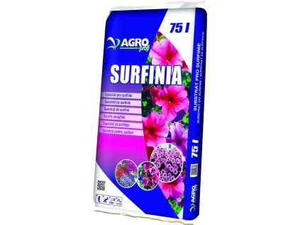 vyr 1604orchideje