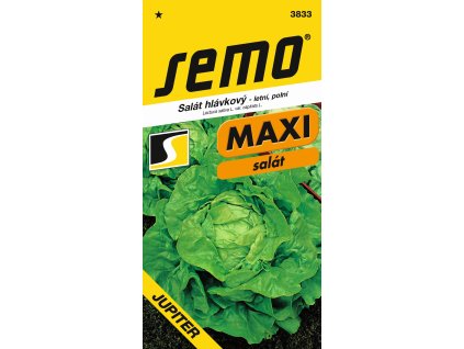 vyr 26453833 salat hlavkovy JUPITER MAXI