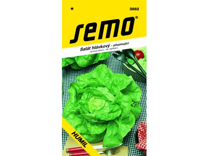 vyr 26493882 salat hlavkovy HUMIL