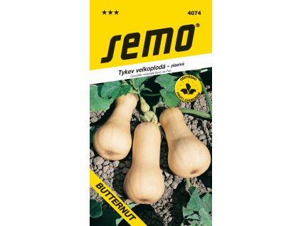 vyr 26524074 tykev BUTTERNUT