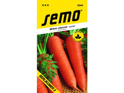 vyr 26942248 mrkev BERLIKUMER 2