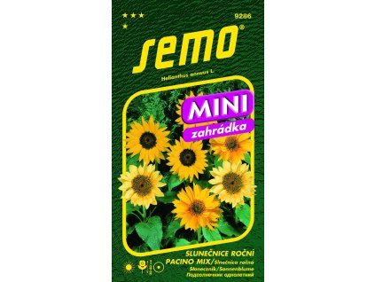 vyr 28569286 slunecnice PACINO MIX MINI