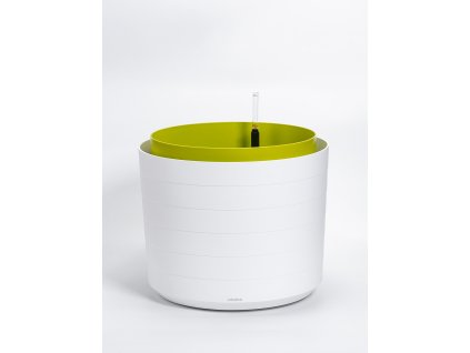 vyr 3156 170539 Samozavlazovaci velkoobjemova nadoba Berberis55 bila zelena