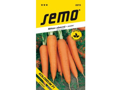 vyr 3364 2272 mrkev Koloseum F 1