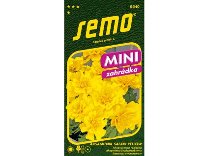 vyr 3377 9540 aksamitnik safari Yellow mini