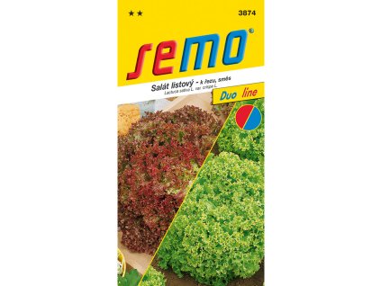 vyr 3381 3874 salat listovy smes lolo duo