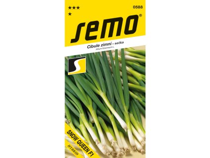 vyr 3406 0588 cibule secka snow queen f1