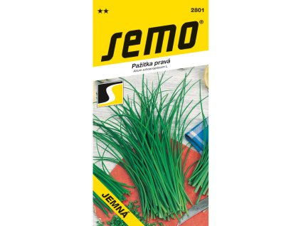 vyr 3419 2801 pazitka jemna