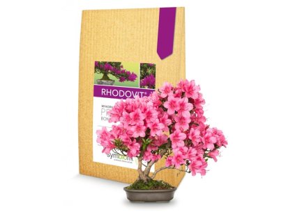 vyr 238079 620a19a02219650178675fd2 rhodovit bonsai