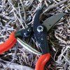 vyrp13 3204Felco5 3