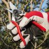 vyrp11 3269Felco 702 1