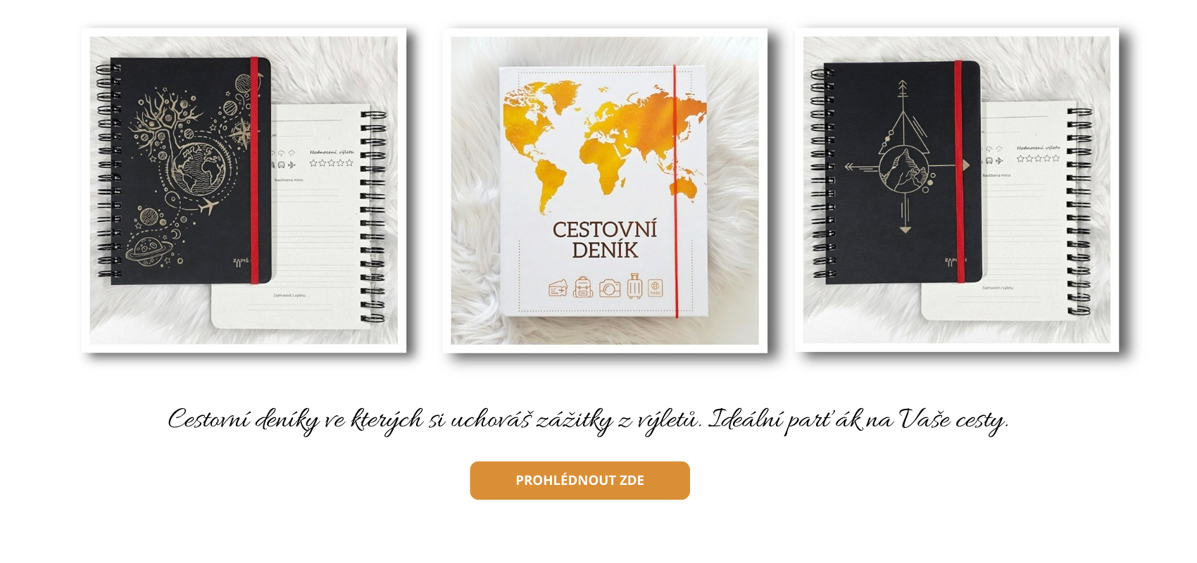 Cestovní deníky